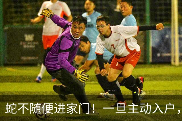 蛇不随便进家门！一旦主动入户，其实是在传递两个重要信号